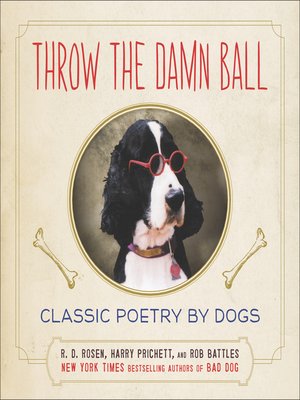 cover image of Throw the Damn Ball